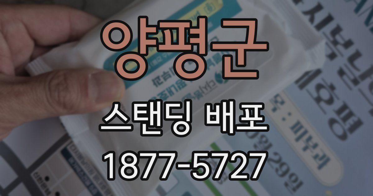 양평군 스탠딩 배포