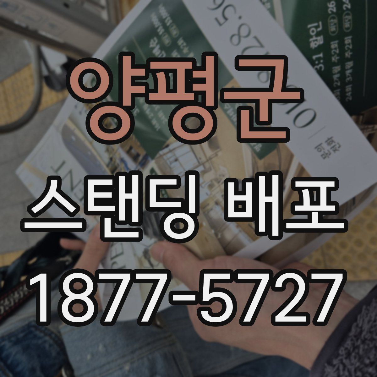 양평군 스탠딩 배포