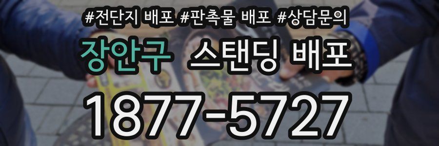 장안구 스탠딩 배포