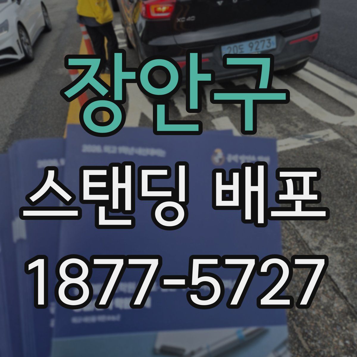 장안구 스탠딩 배포