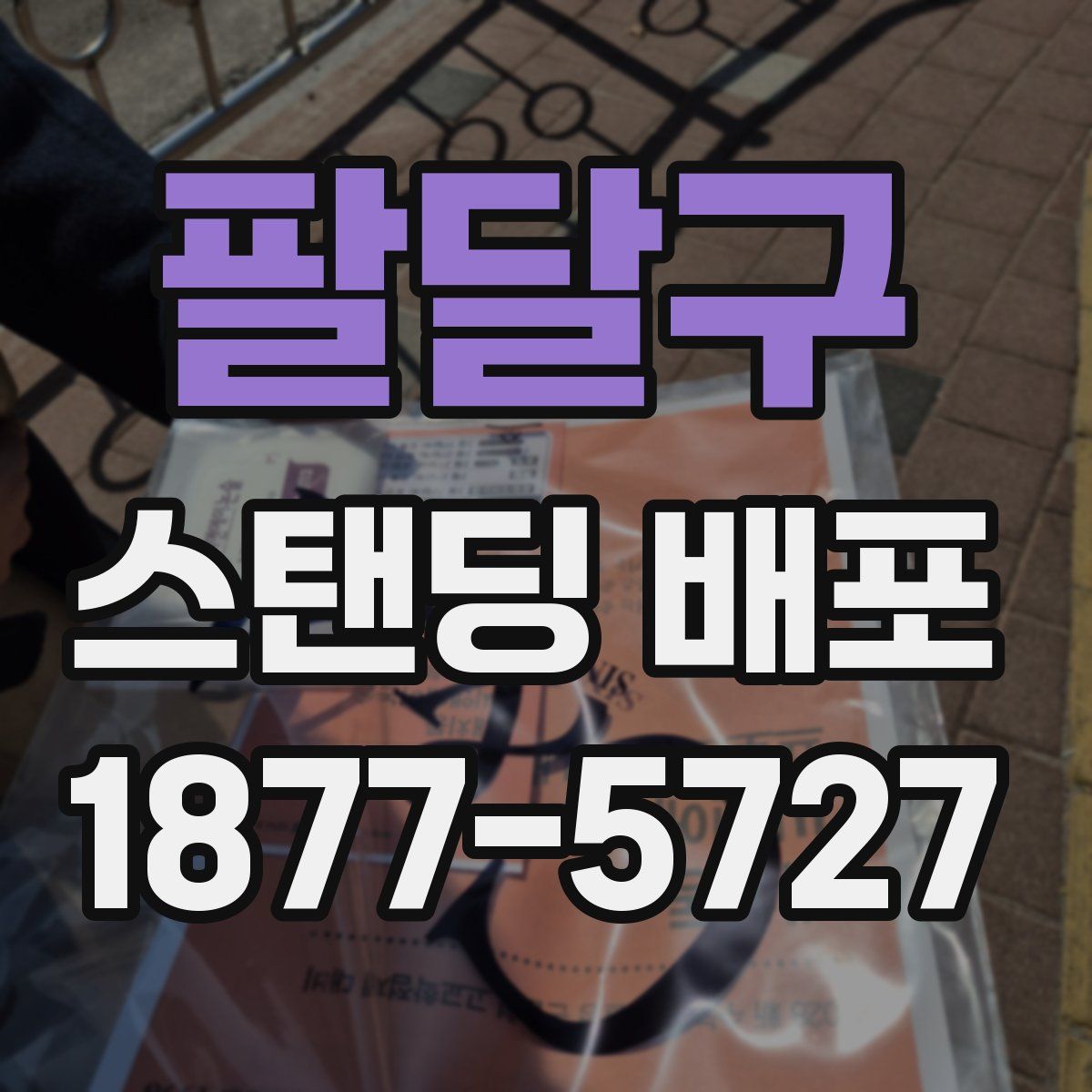 팔달구 스탠딩 배포