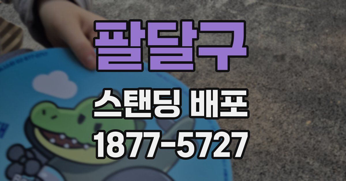 팔달구 스탠딩 배포