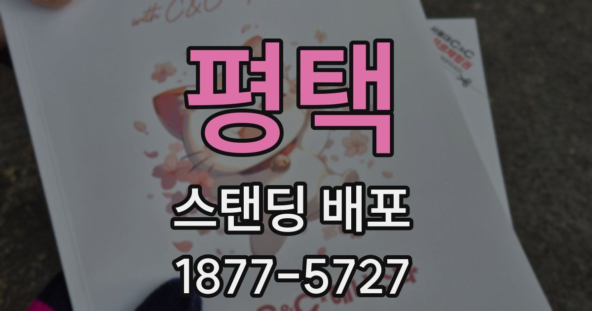평택 스탠딩 배포