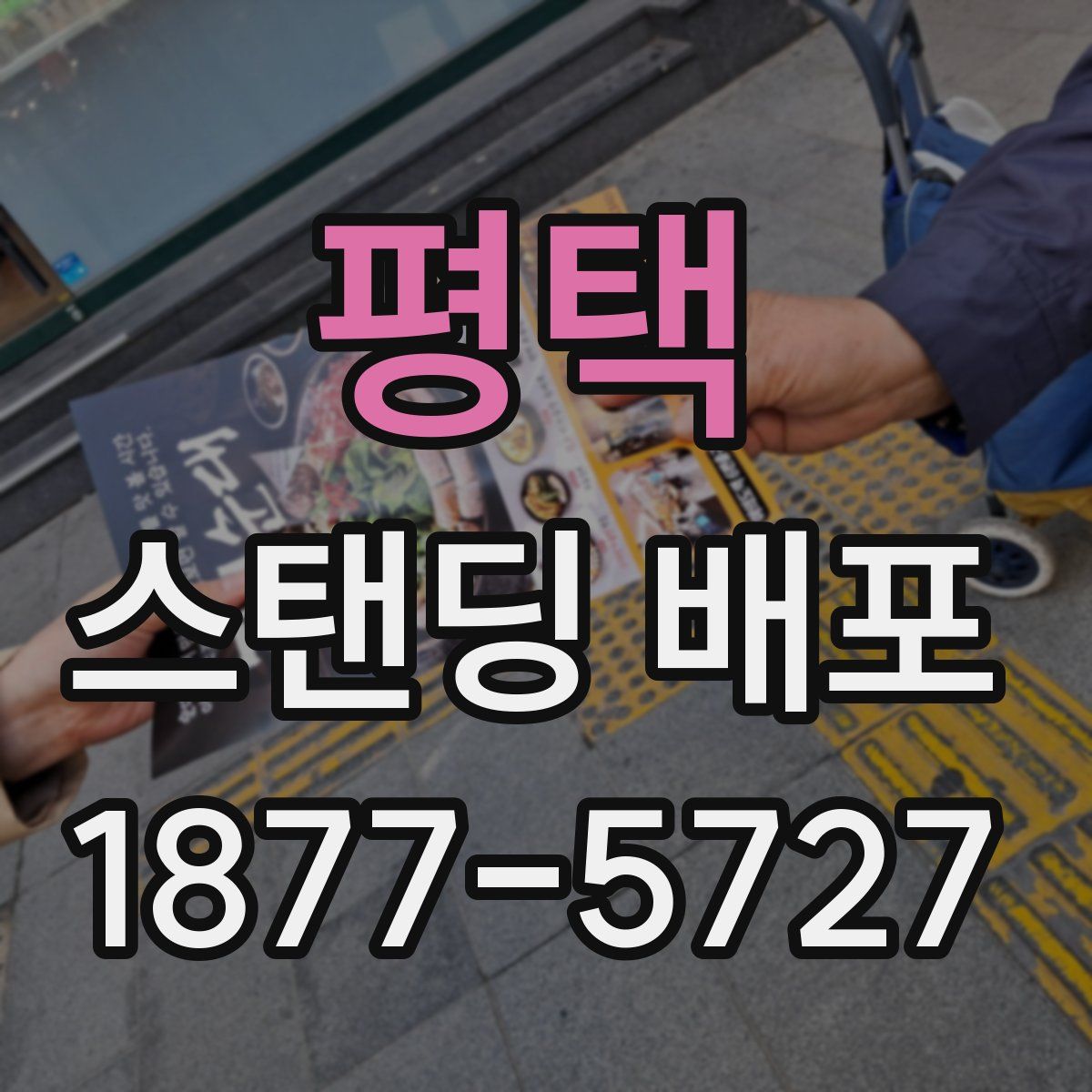 평택 스탠딩 배포