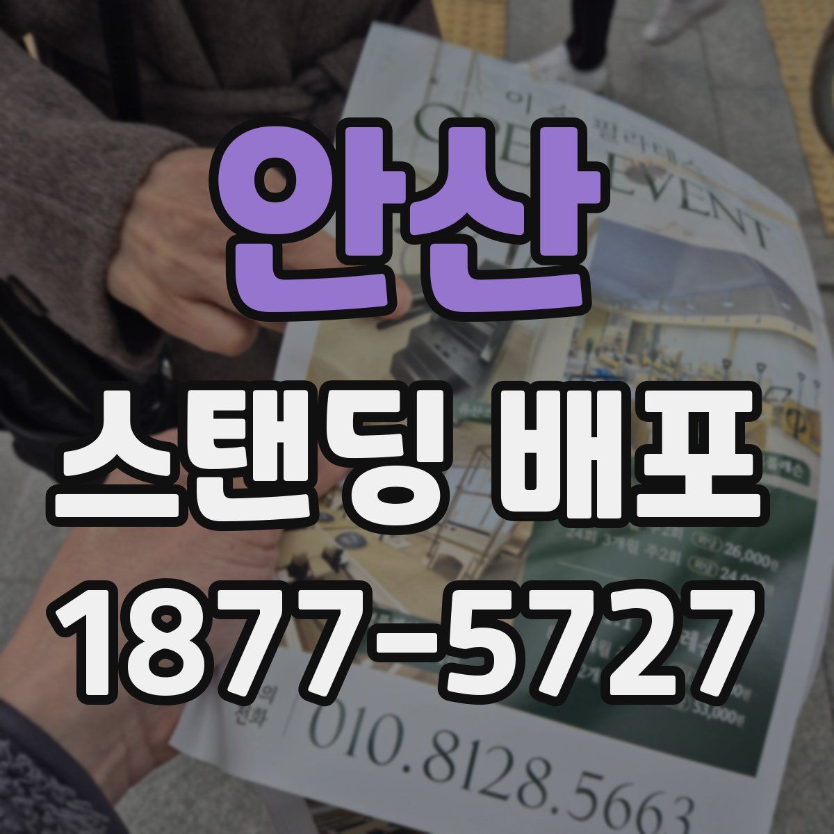 안산 스탠딩 배포