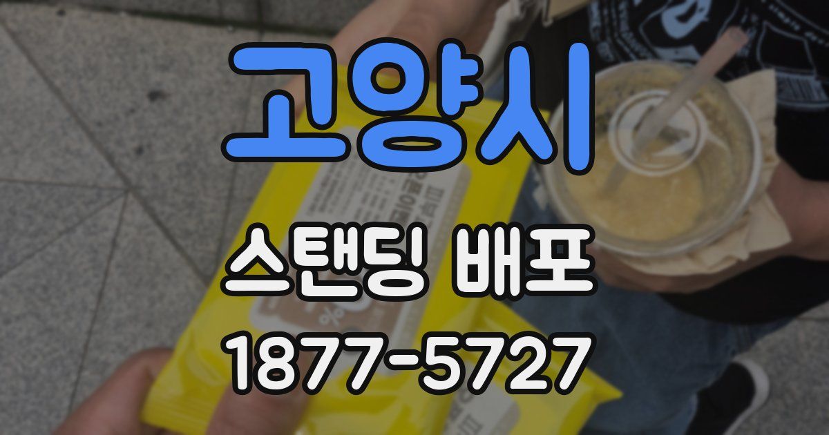 고양시 스탠딩 배포