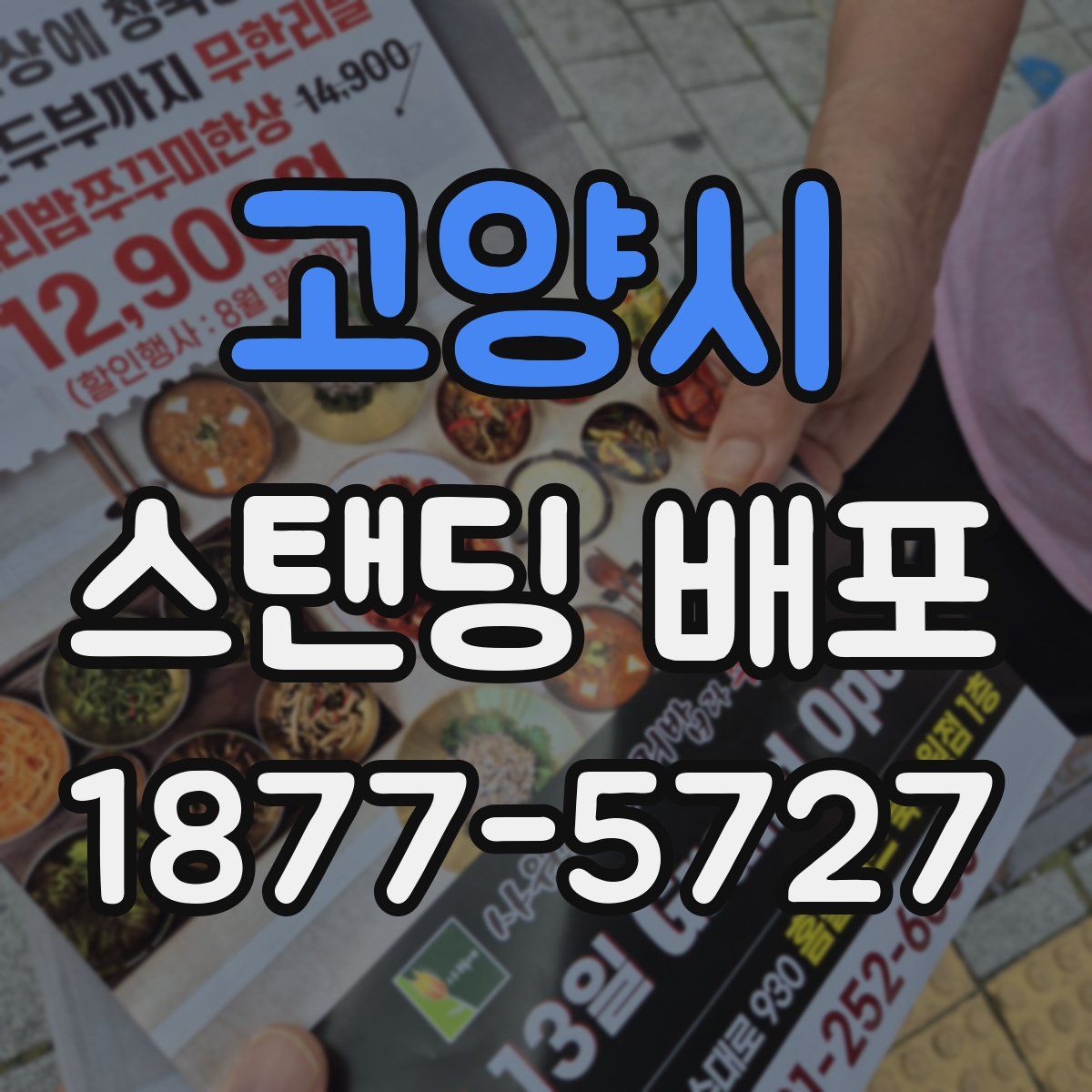 고양시 스탠딩 배포