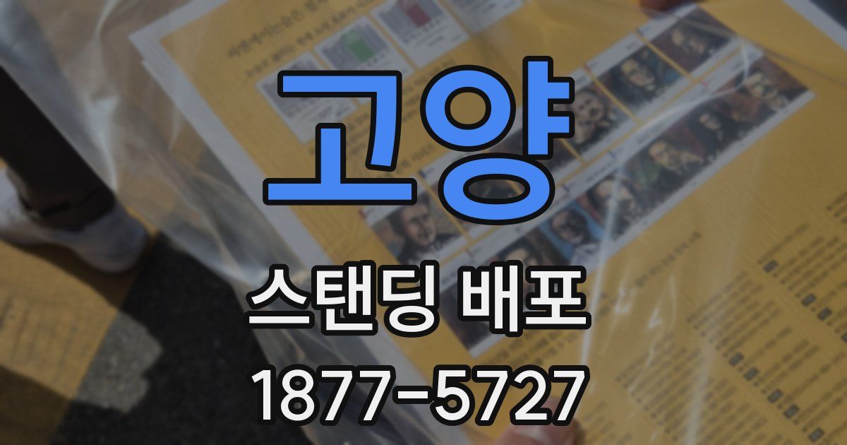 고양 스탠딩 배포