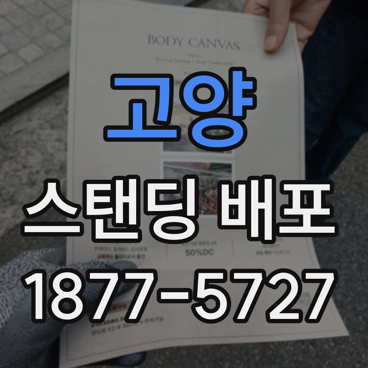고양 스탠딩 배포
