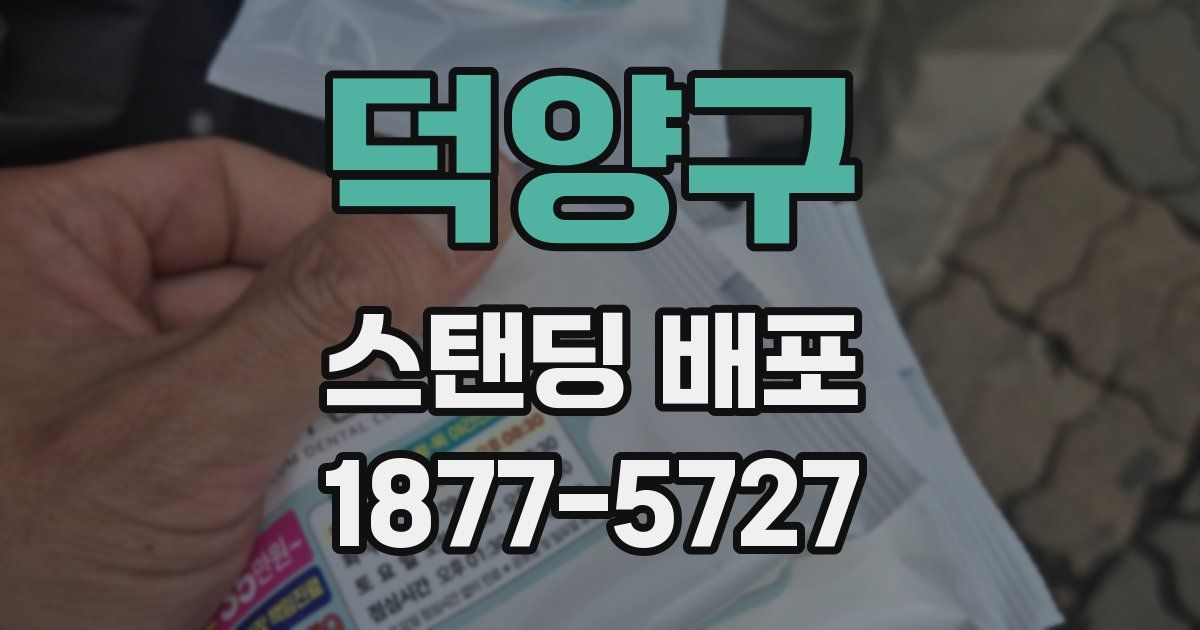 덕양구 스탠딩 배포