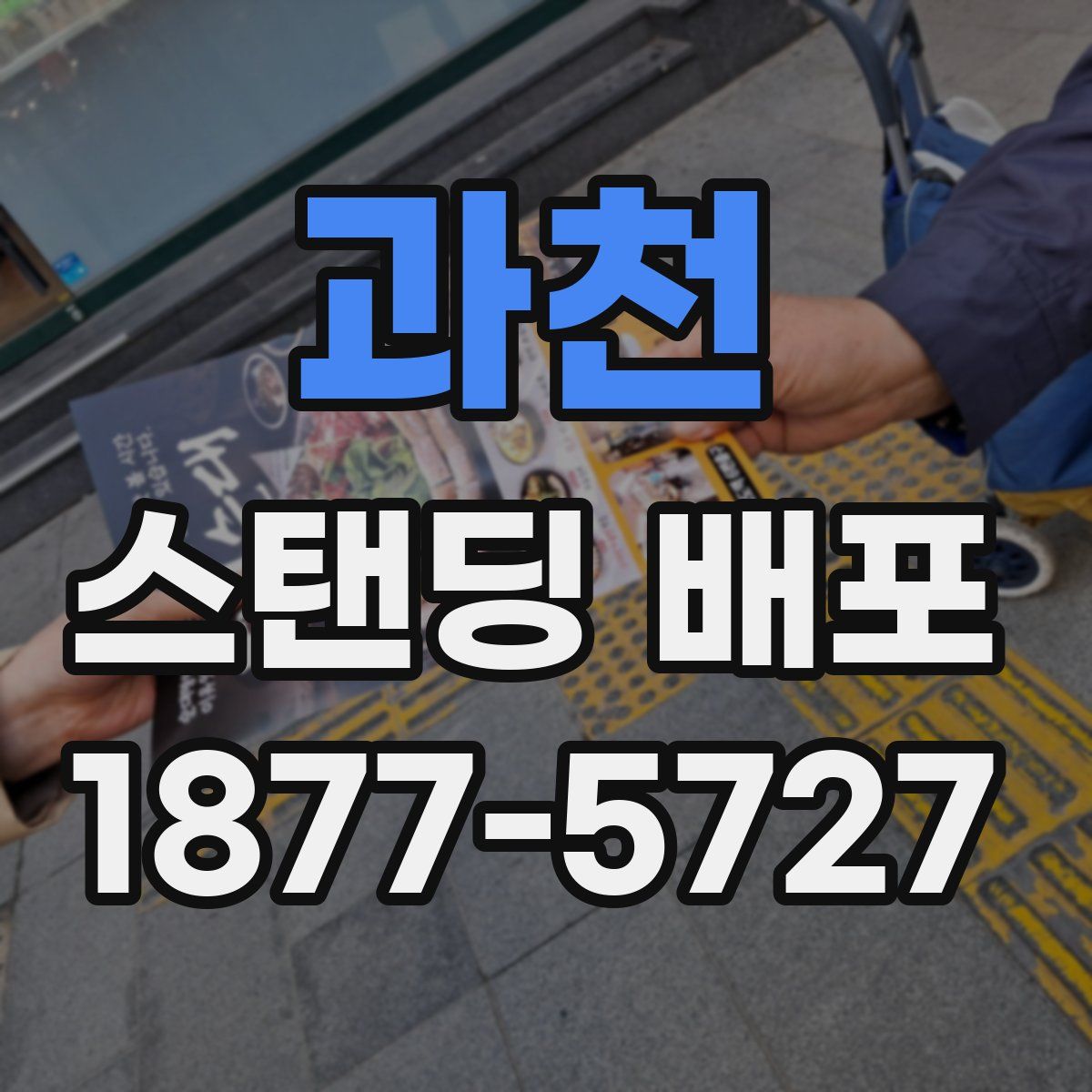과천 스탠딩 배포