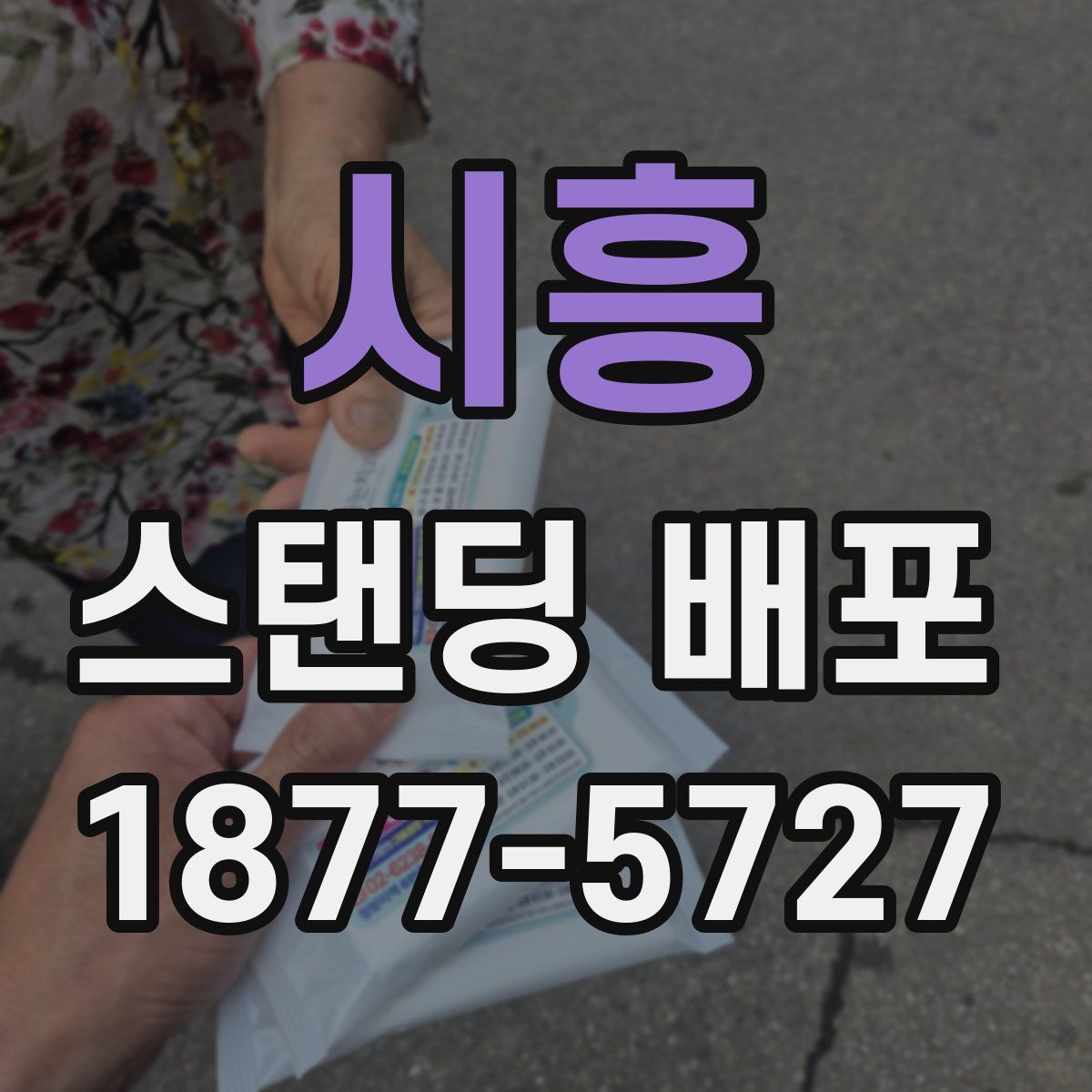 시흥 스탠딩 배포