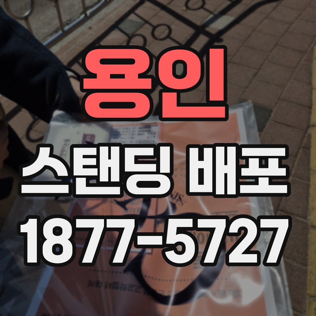 용인 스탠딩 배포