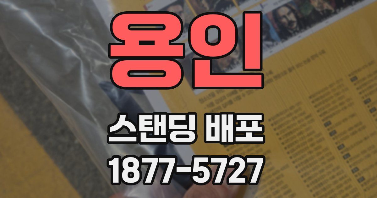 용인 스탠딩 배포