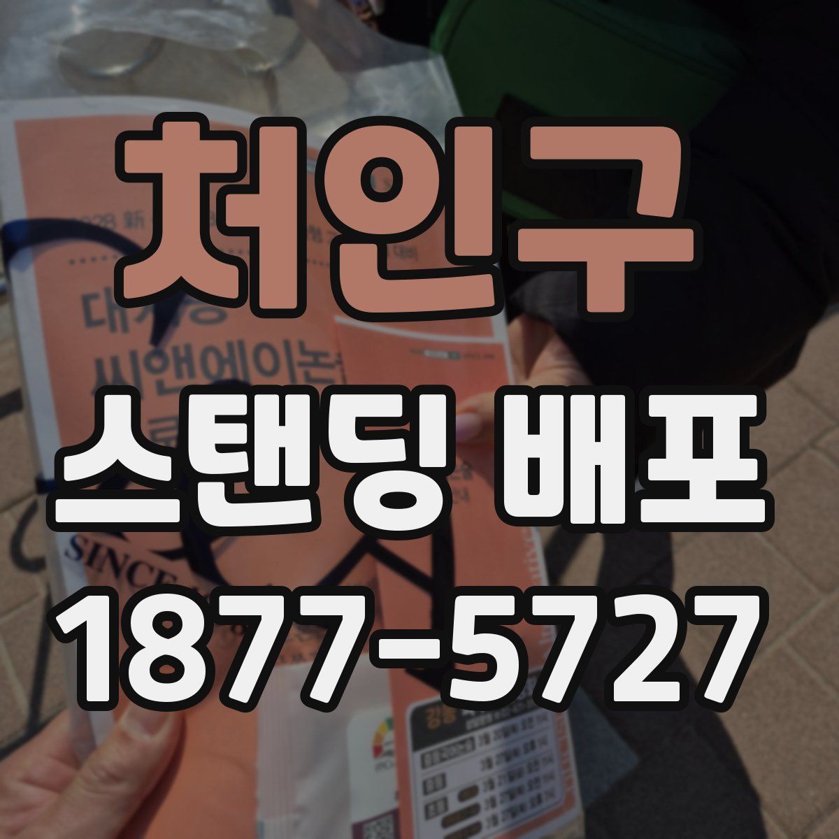처인구 스탠딩 배포