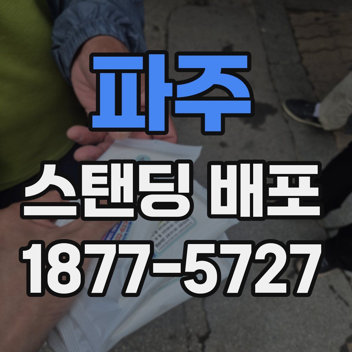 파주 스탠딩 배포