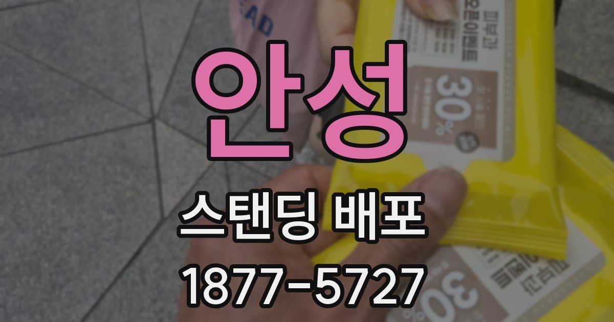 안성 스탠딩 배포
