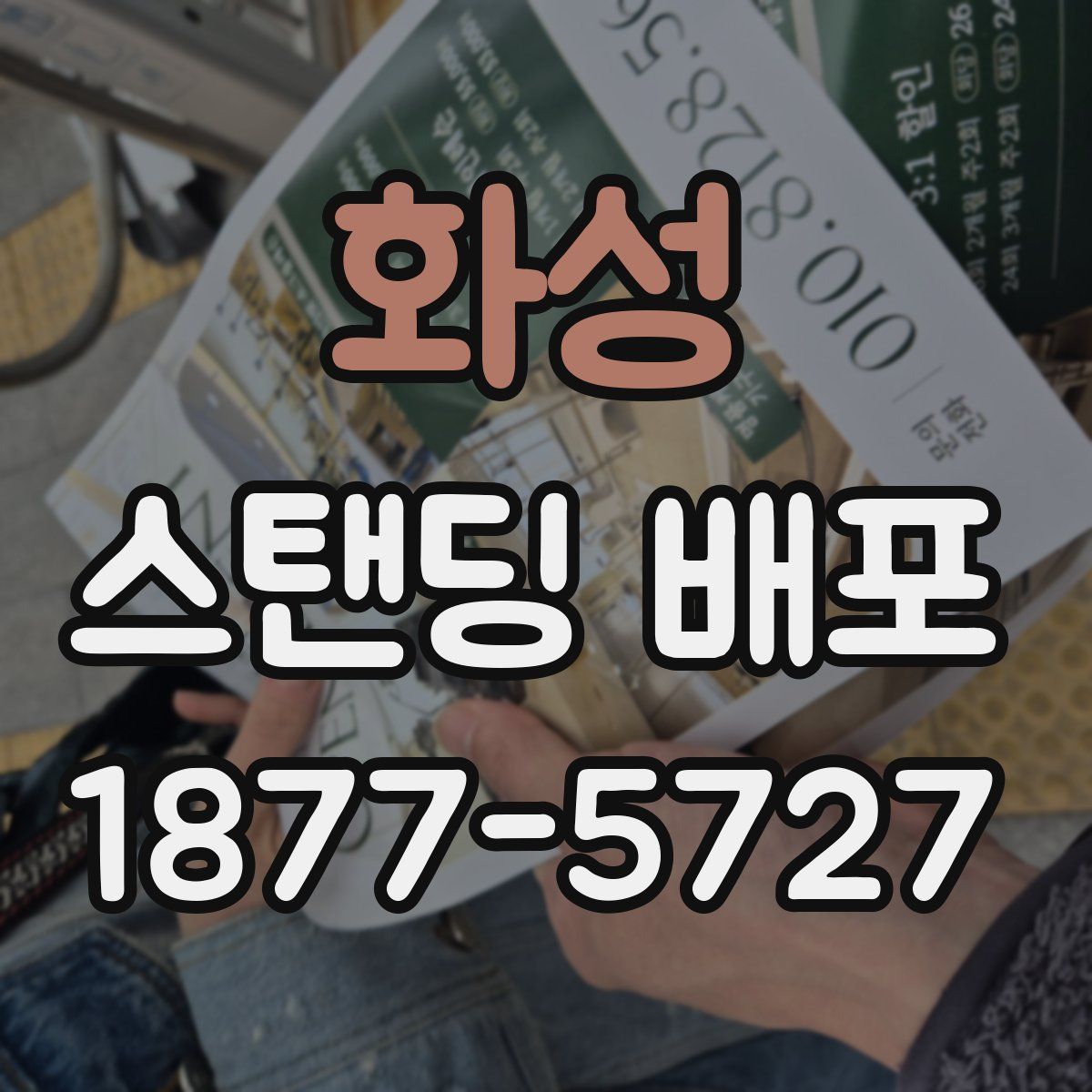 화성 스탠딩 배포