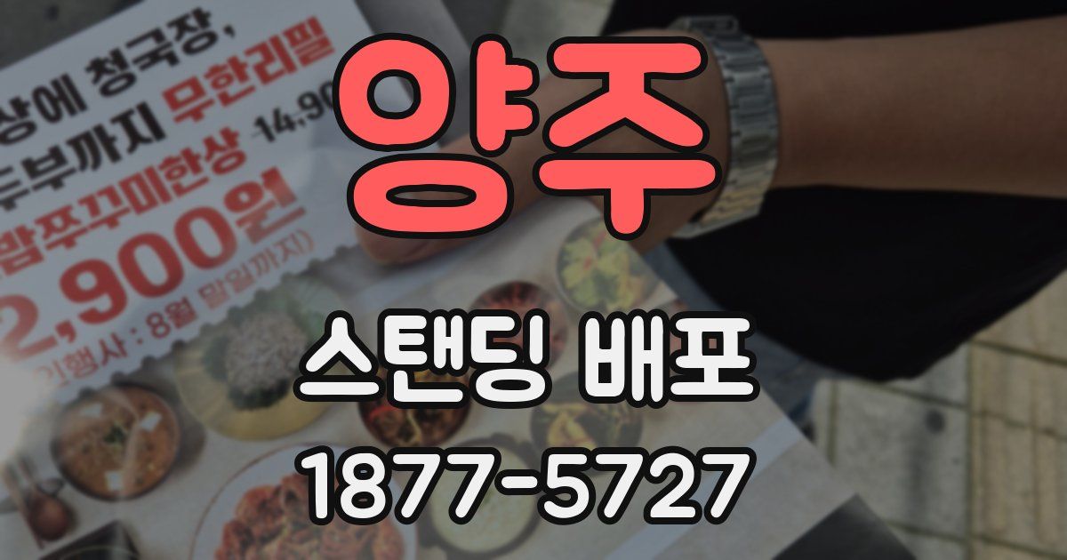 양주 스탠딩 배포