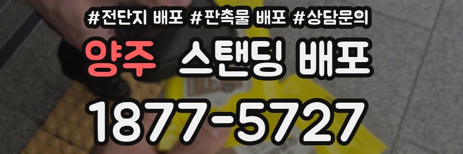 양주 스탠딩 배포