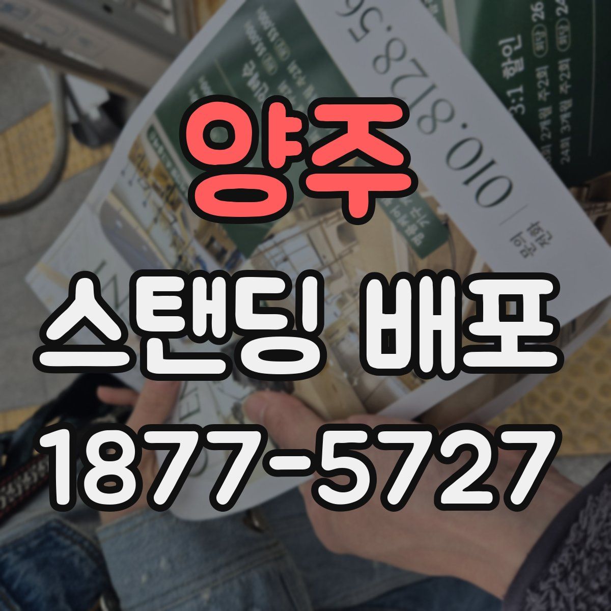 양주 스탠딩 배포