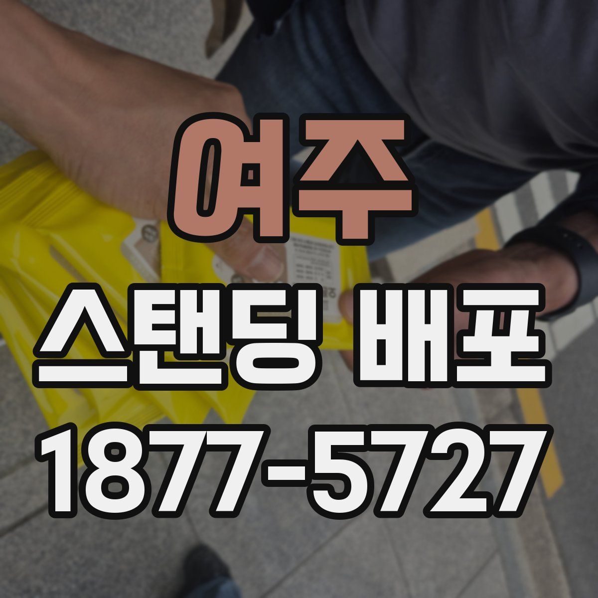 여주 스탠딩 배포
