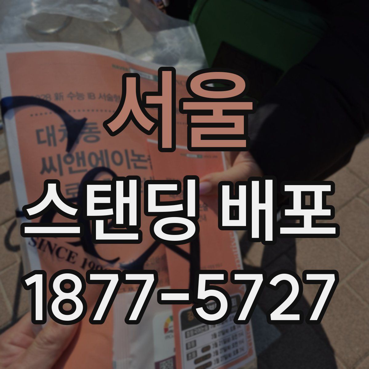 서울 스탠딩 배포