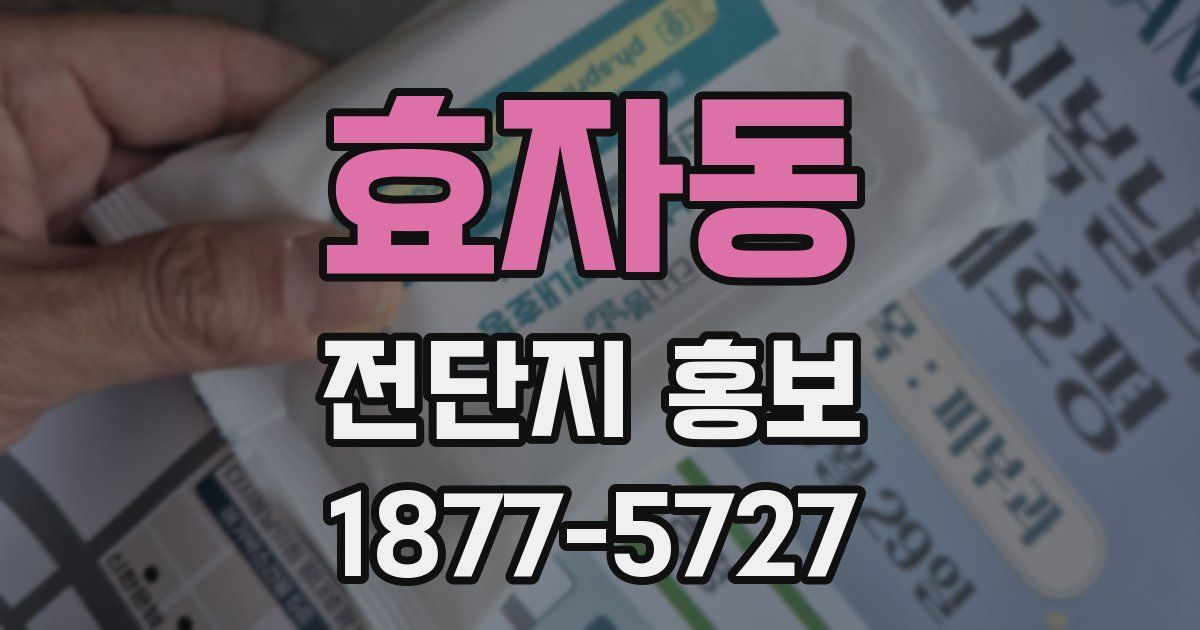 효자동 전단지 홍보
