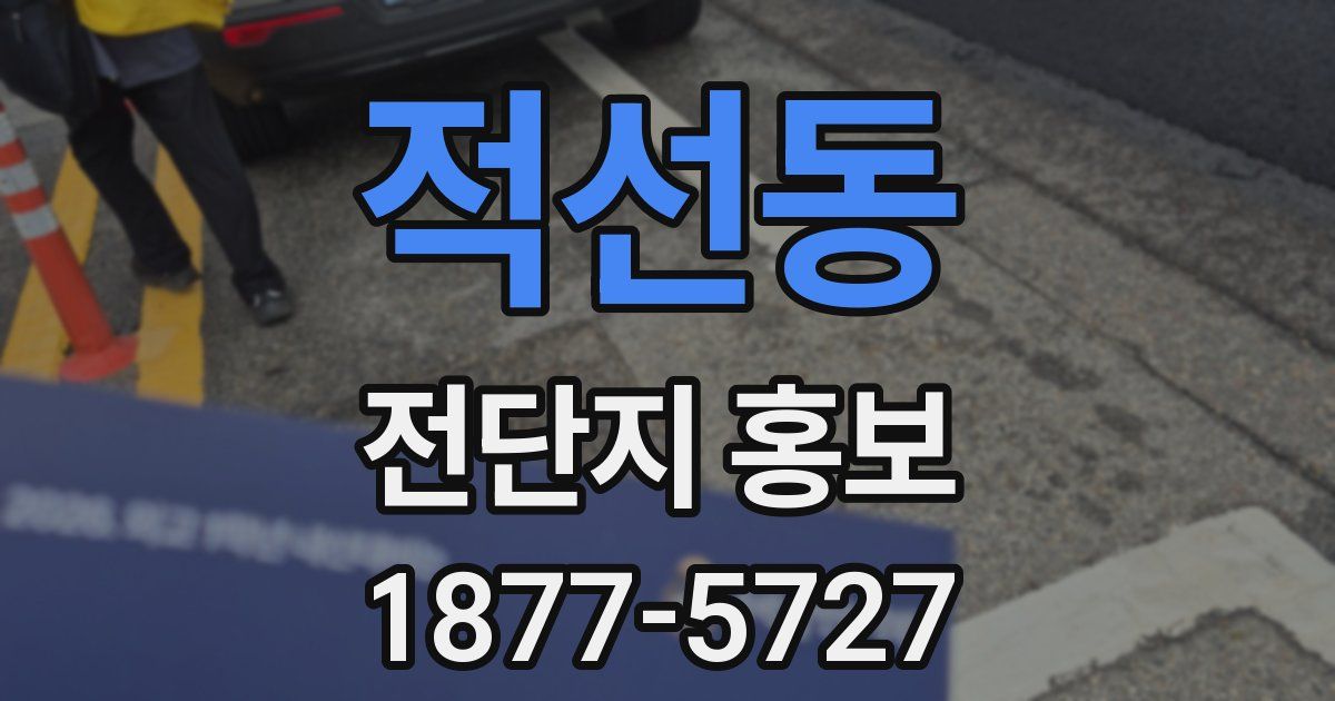 적선동 전단지 홍보