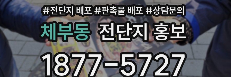 체부동 전단지 홍보