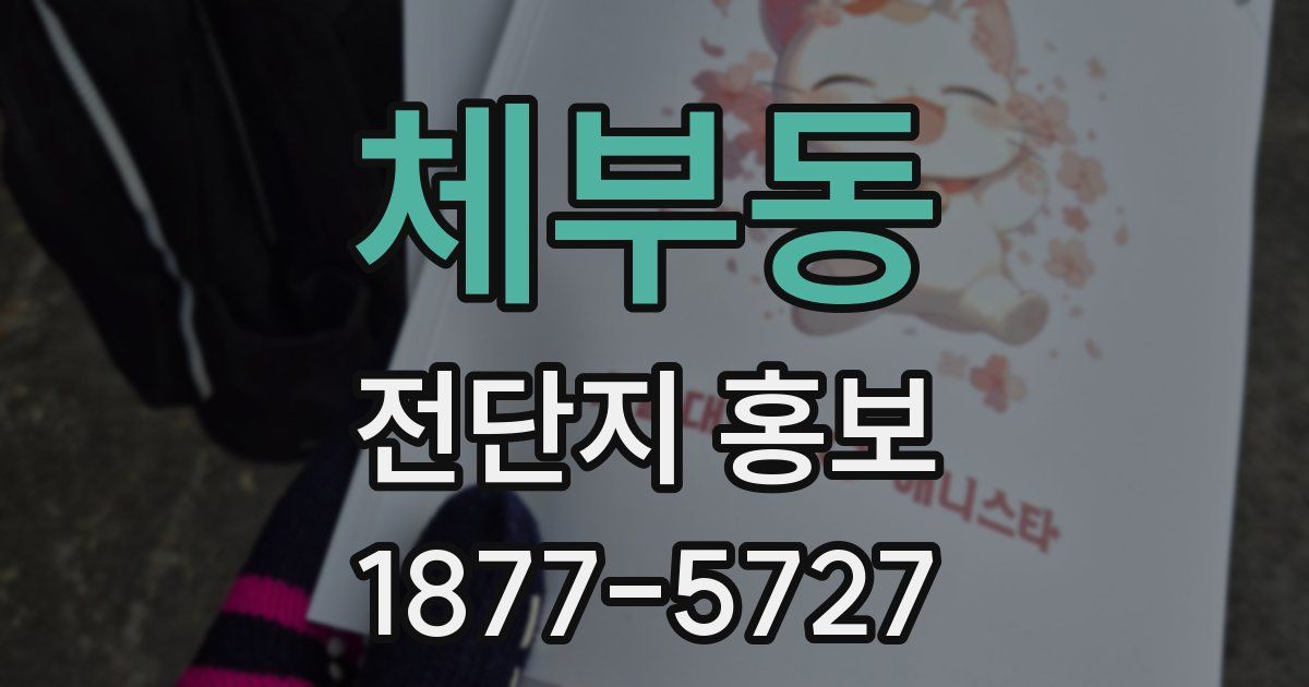 체부동 전단지 홍보