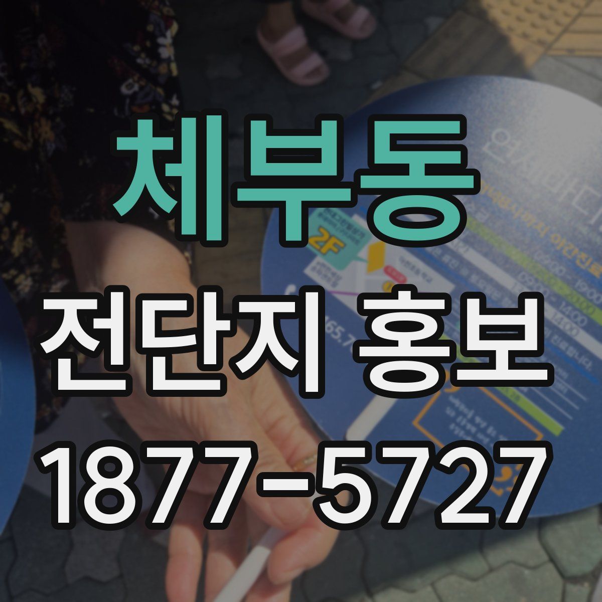 체부동 전단지 홍보