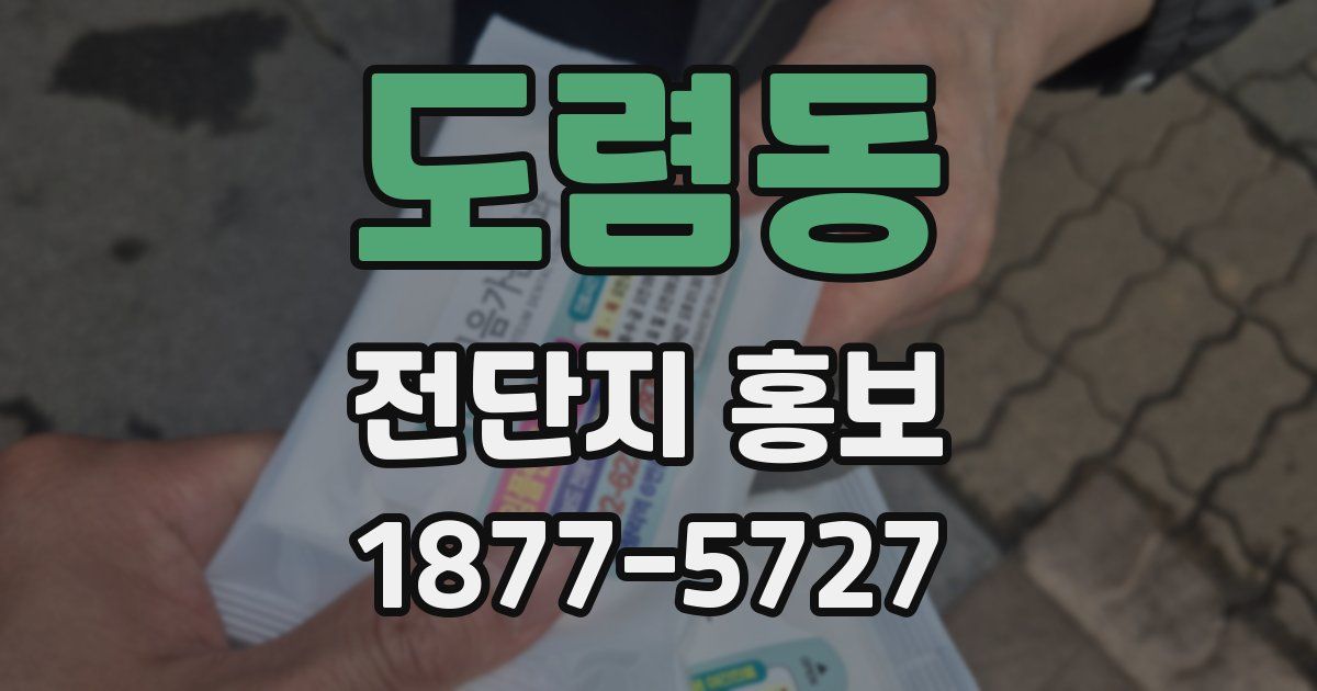 도렴동 전단지 홍보