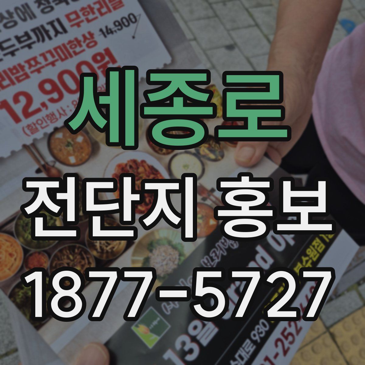 세종로 전단지 홍보