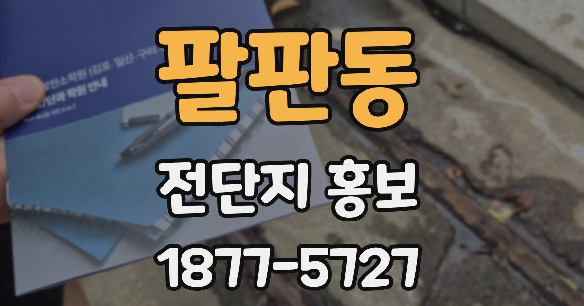 팔판동 전단지 홍보