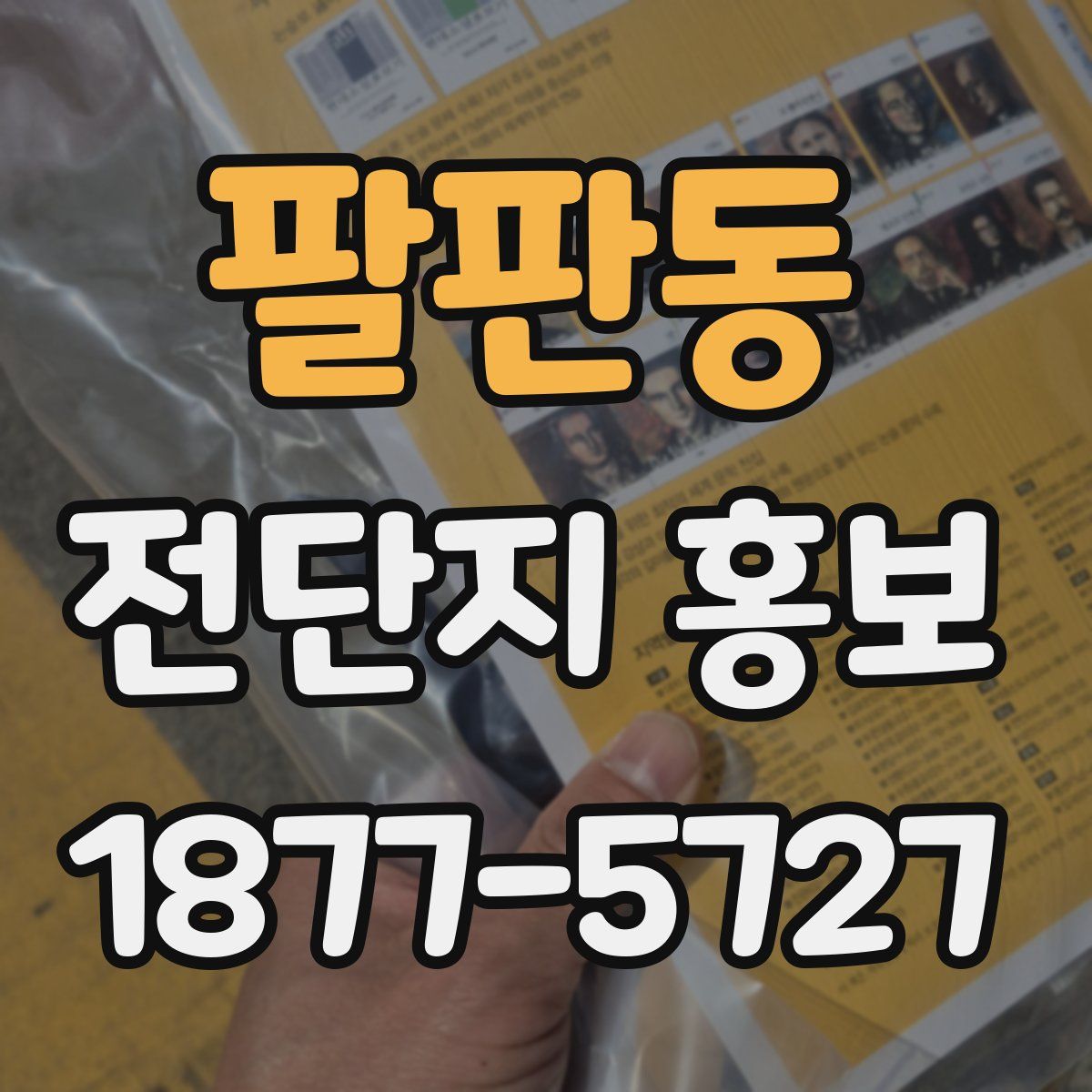 팔판동 전단지 홍보