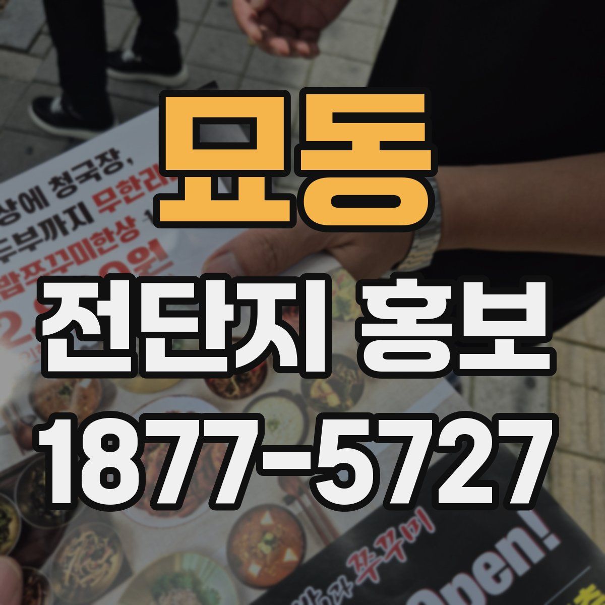 묘동 전단지 홍보