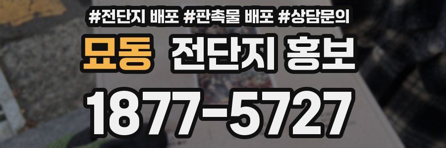 묘동 전단지 홍보