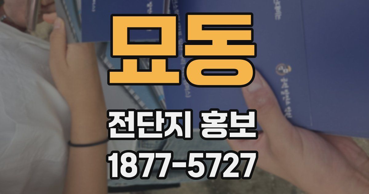 묘동 전단지 홍보