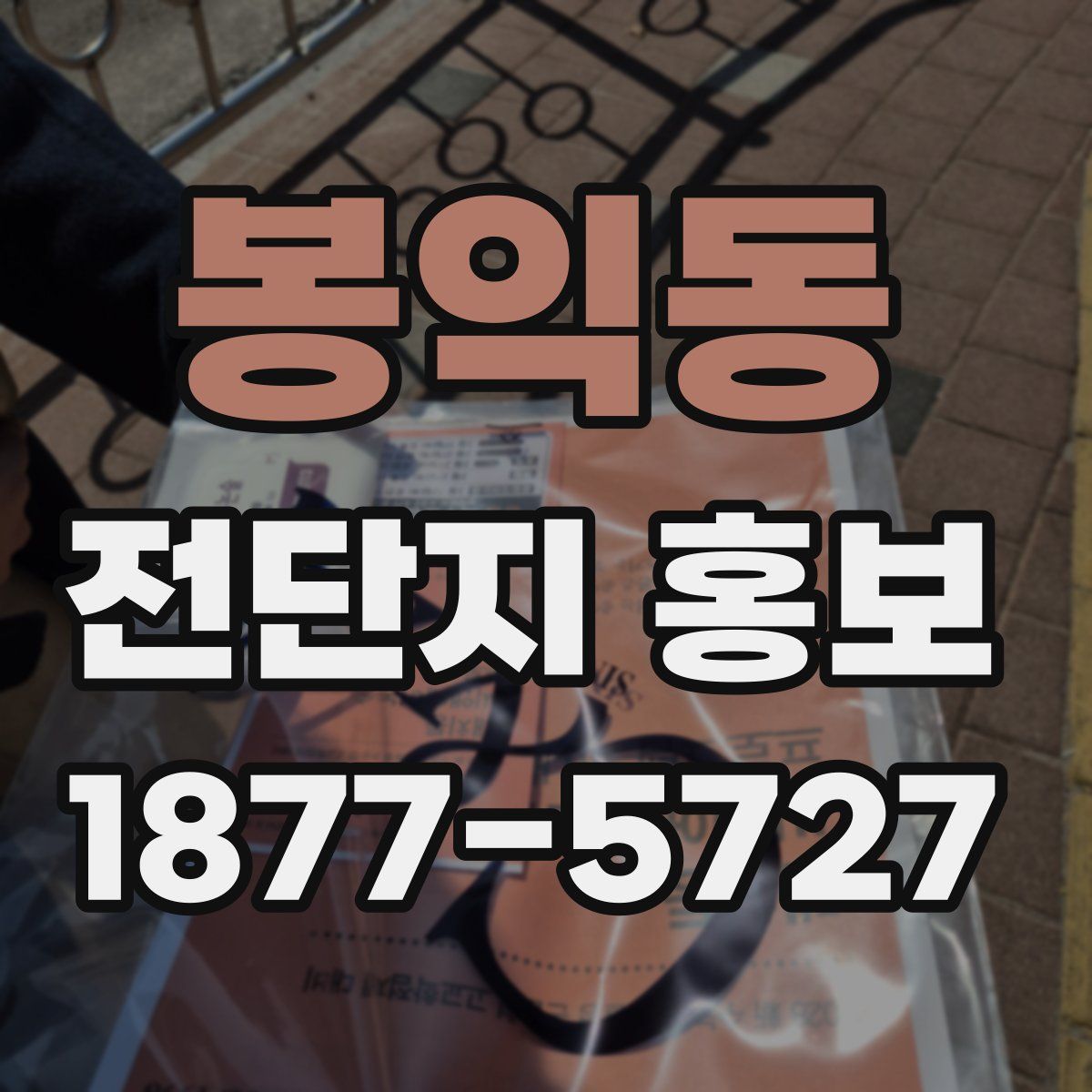 봉익동 전단지 홍보