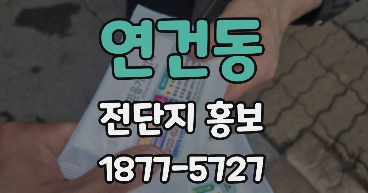연건동 전단지 홍보