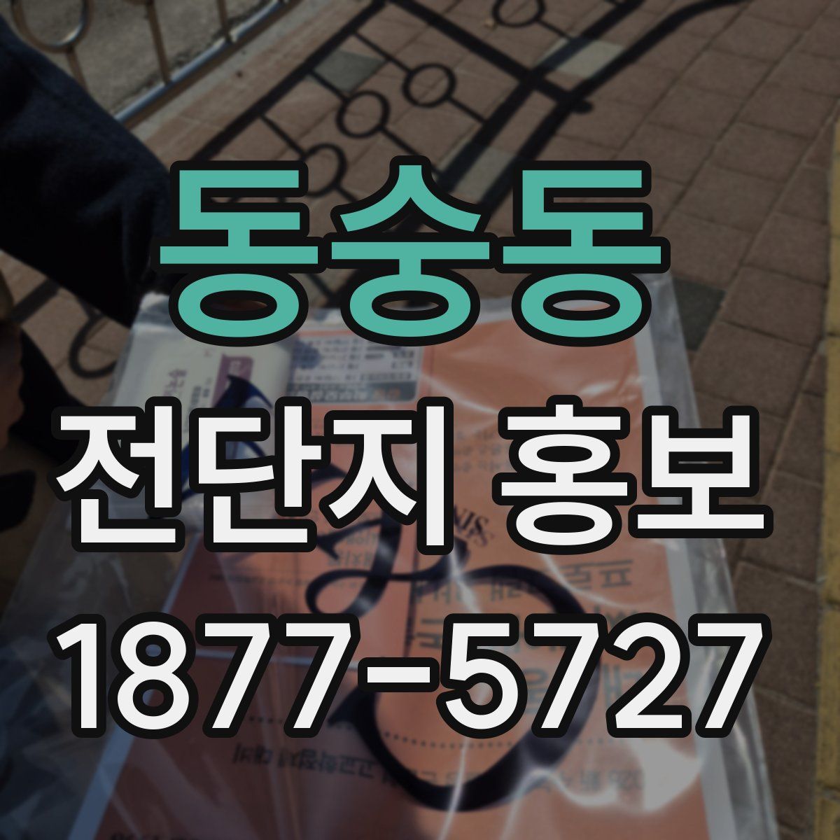 동숭동 전단지 홍보