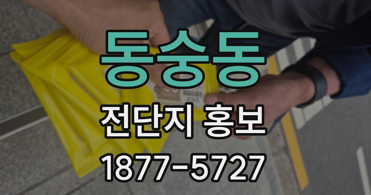 동숭동 전단지 홍보