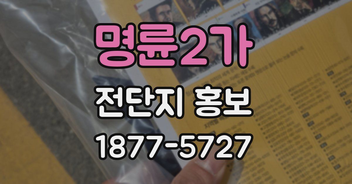 명륜2가 전단지 홍보