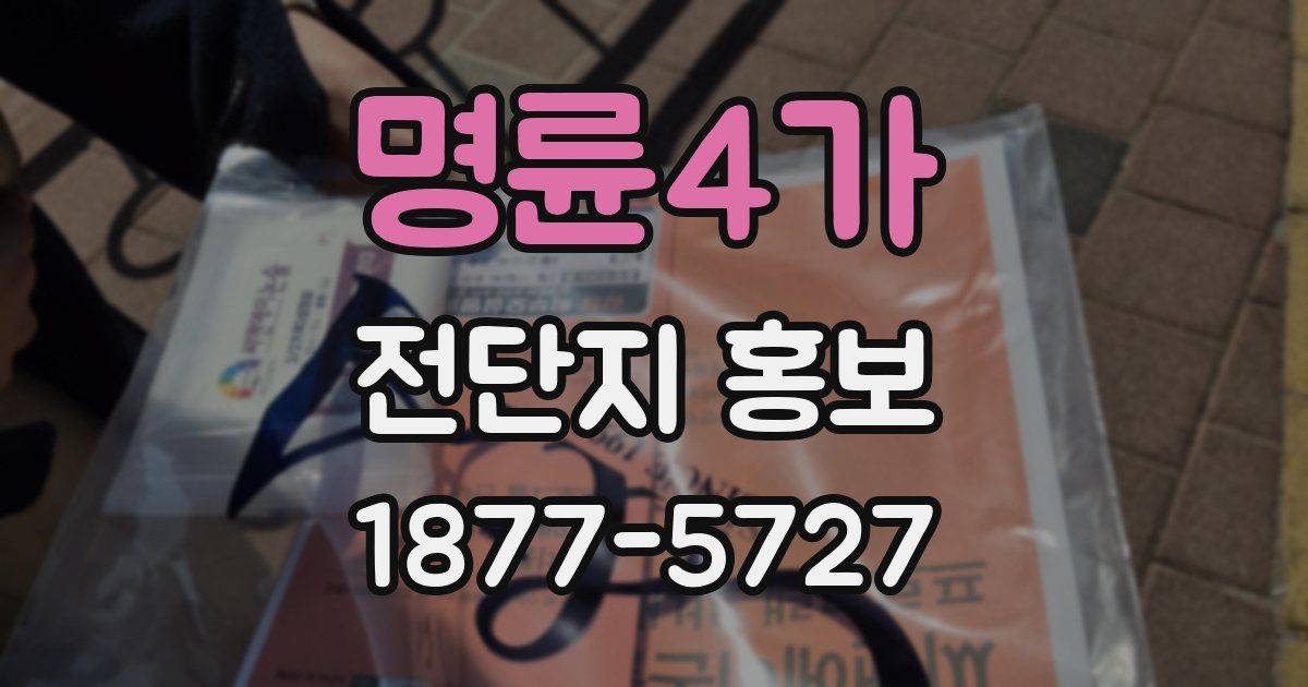 명륜4가 전단지 홍보
