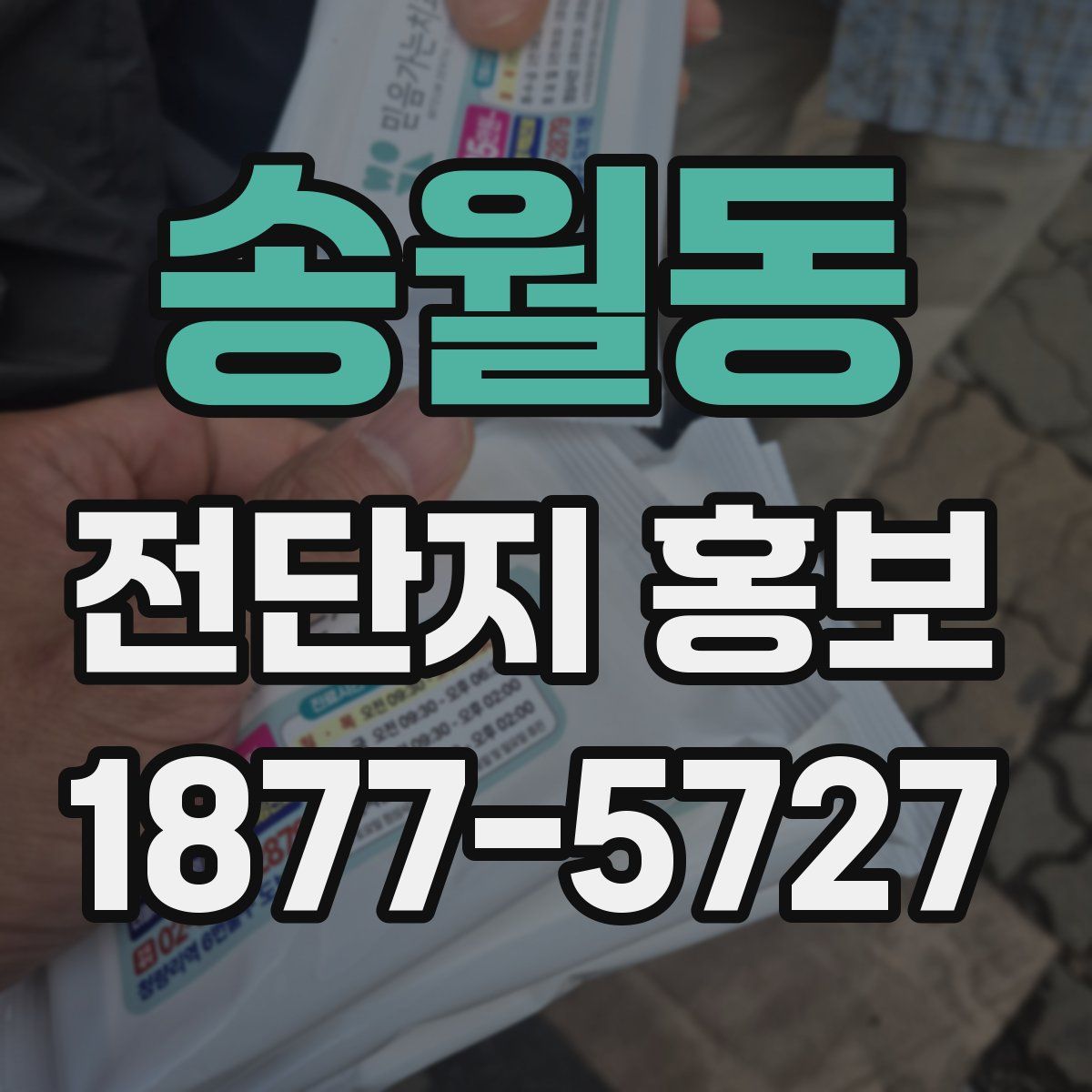 송월동 전단지 홍보