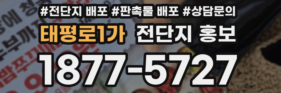 태평로1가 전단지 홍보