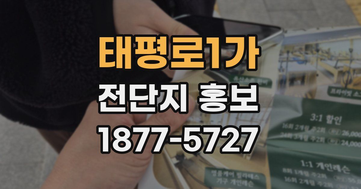 태평로1가 전단지 홍보