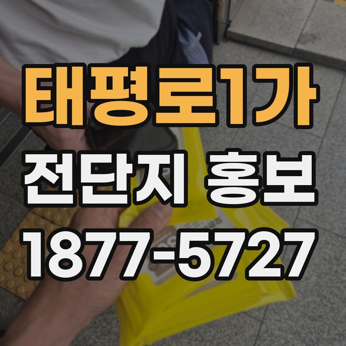 태평로1가 전단지 홍보