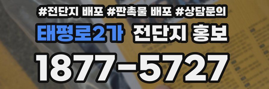 태평로2가 전단지 홍보